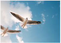 1498783664126707.jpg 1498783664126707.jpg